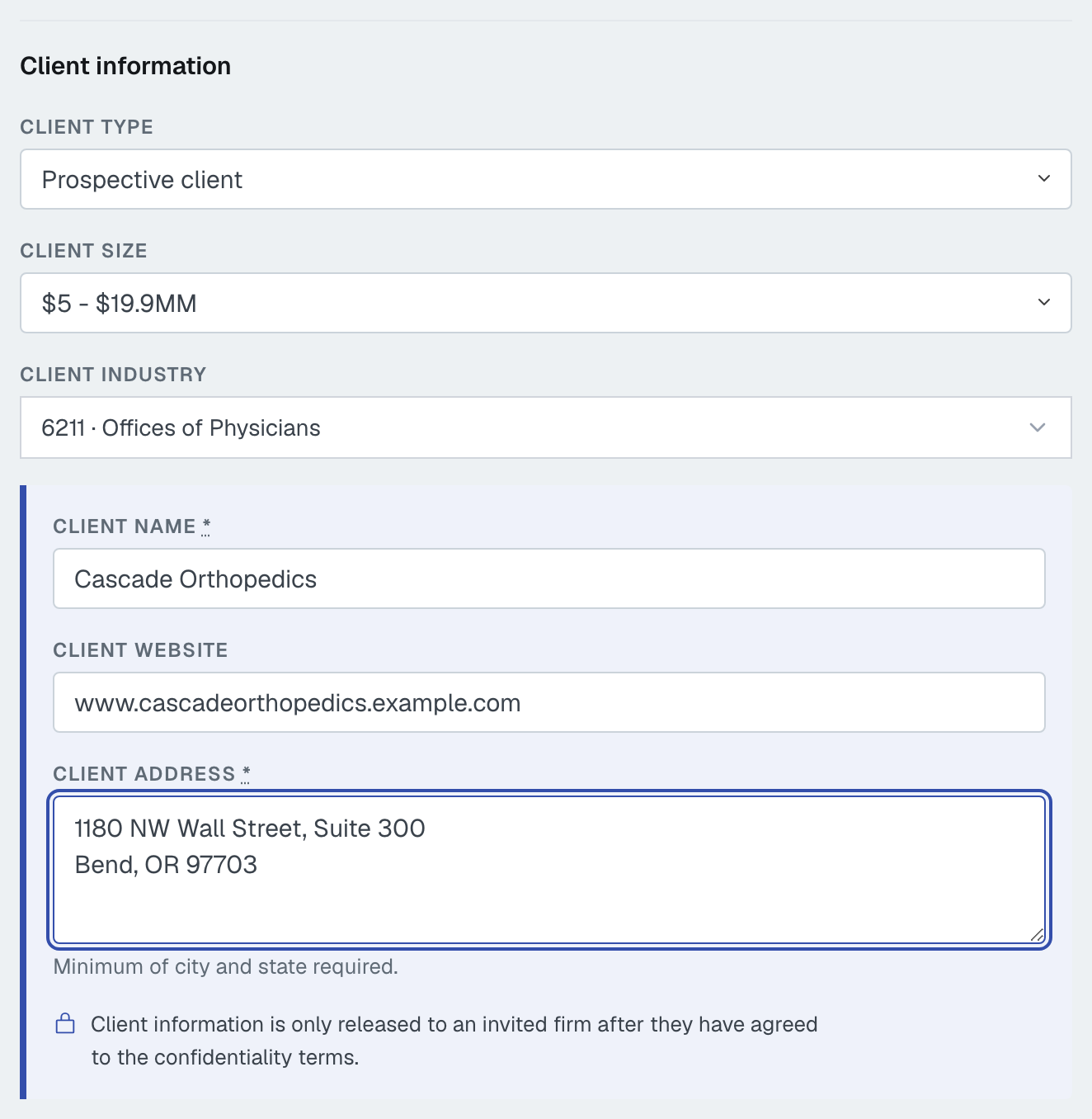 The Client information section: client type, size and industry, then the client name, website and address in their marked confidential group